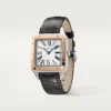 Cartier Santos Dumont W2SA0011