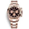 COSMOGRAPH DAYTONA OR EVEROSE